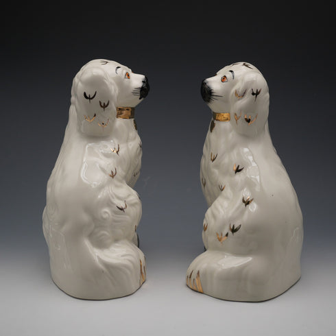 英國古董 Beswick 貝斯維克 斯塔福德郡犬 1378-5 高20公分