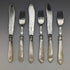 1877 British Antique Pure Silver Blade White Butterfly Shell Handle Fish Cutlery 3 Pairs Set William Hutton