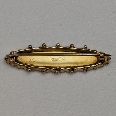 Around 1875 British antique 9ct gold small bird decoration pin brooch in case