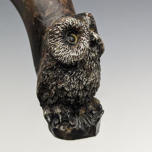 Around 1900 British antique gentleman's walking stick with owl decoration, curved horn handle 90cm