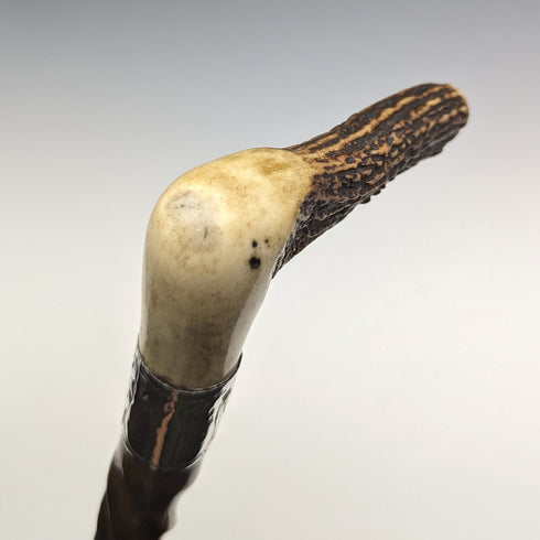 1895年頃 英国アンティーク 紳士用ステッキ 鹿角クラッチハンドル ツイストシャフト 85cm