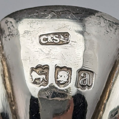 1896 British Antique Sterling Silver Tea Caddy Spoon Moonstone Handle Robert James Chaplin