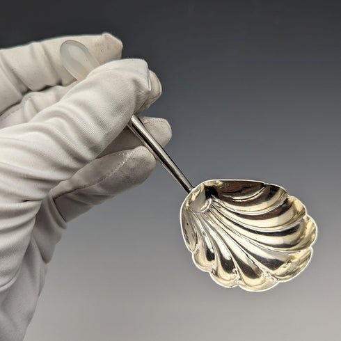 1896 British Antique Sterling Silver Tea Caddy Spoon Moonstone Handle Robert James Chaplin