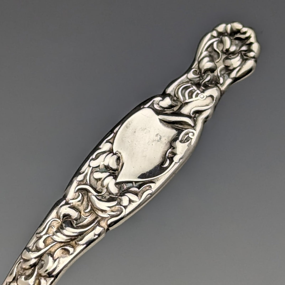 19世紀後半 米国アンティーク 純銀製ティーキャディースプーン Whiting Manufacturing目立った傷や汚れのない美品機能