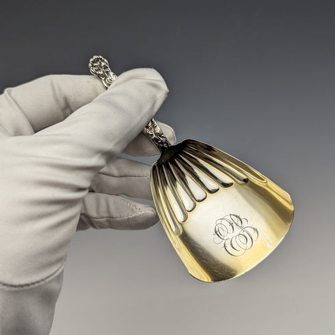 Late 19th Century American Antique Sterling Silver Tea Caddy Spoon Whiting Manufacturing