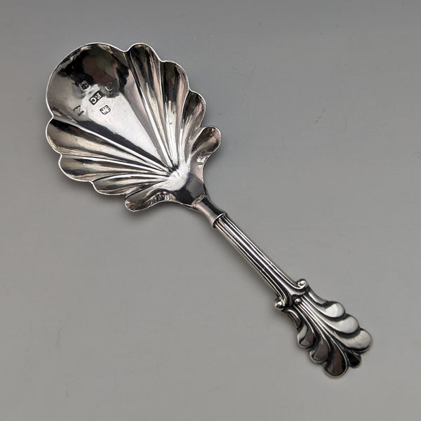1845 British Antique Sterling Silver Tea Caddy Spoon FRANCIS CLARK