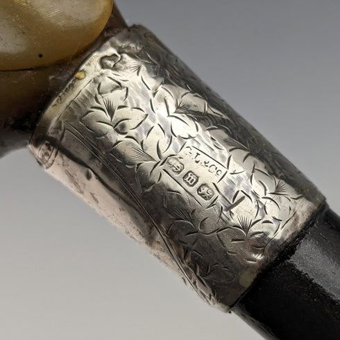 1896年 英国アンティーク 紳士用ステッキ ホーン製エレファントハンドル 86cm