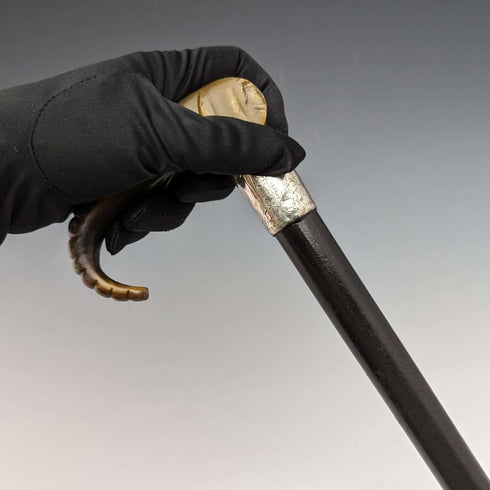 1896年 英国アンティーク 紳士用ステッキ ホーン製エレファントハンドル 86cm