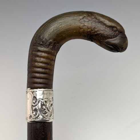 1893年 英国アンティーク 紳士用ステッキ ホーン製グリフィンハンドル 85cm