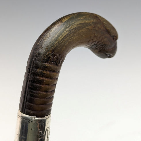 1893年 英国アンティーク 紳士用ステッキ ホーン製グリフィンハンドル 85cm