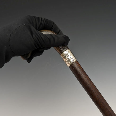 1893年 英国アンティーク 紳士用ステッキ ホーン製グリフィンハンドル 85cm