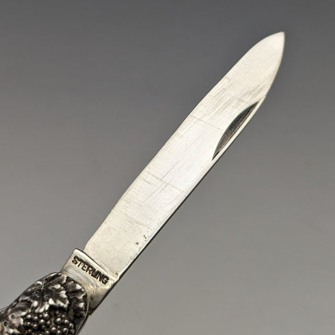 20世紀初頭 米国アンティーク 純銀製 フルーツナイフ&ピック 浮き彫り彫刻