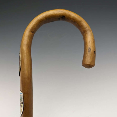 Vintage Men's European Tourist Cane Brown Shaft 84cm