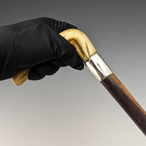 1900年頃 英国アンティーク 紳士用ステッキ 純銀装飾アントラーハンドル ブラウンシャフト 85.5cm