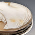 Vintage 800 Silver & Shell Cameo Brooch