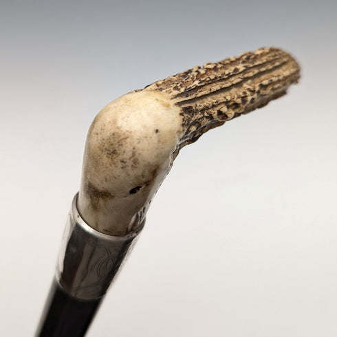 1890年 英国アンティーク 紳士用ステッキ L字アントラーハンドル 純銀装飾 ブラックシャフト 91cm
