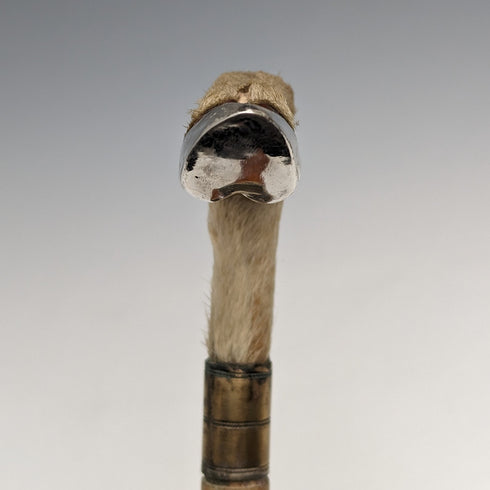 British Antique Men's Cane Chamois Leg Handle Light Brown Shaft 89cm