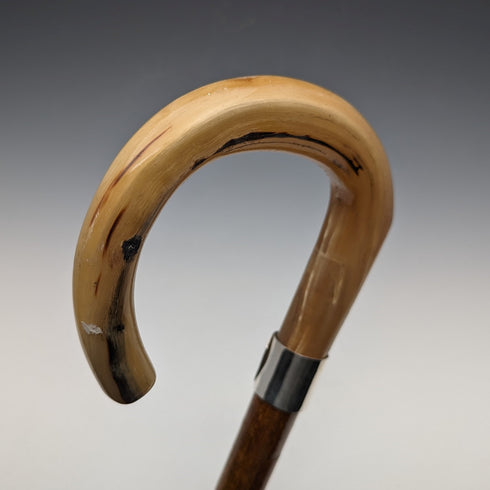 British Vintage Men's Cane, Horn Bent Handle, Sterling Silver Decoration, Hazel Wood Shaft, 92cm