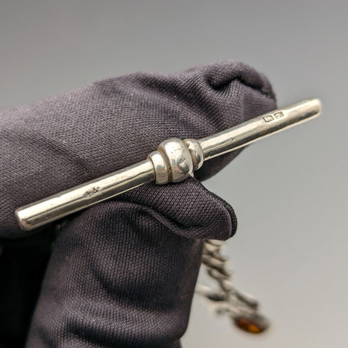 約 1910 年英國古董純銀阿爾伯特鏈 34 克獅子吊墜配琥珀