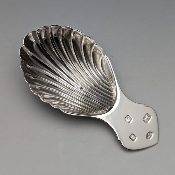 1981 British Vintage Sterling Silver Shell Tea Caddy Spoon Isreal Freeman