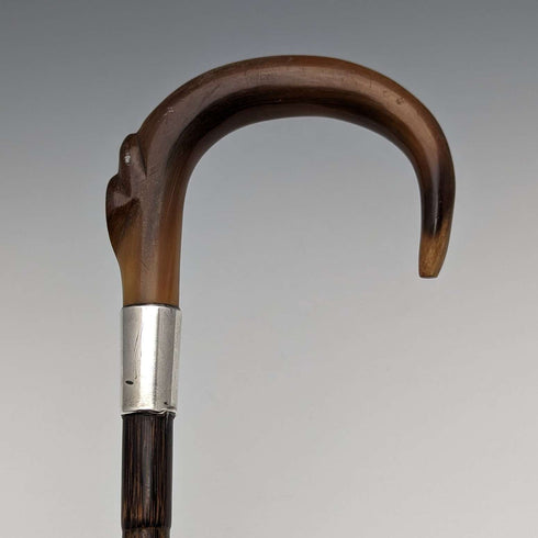 1911 British Antique Ladies Cane Horn Handle Sterling Silver Decoration 92cm