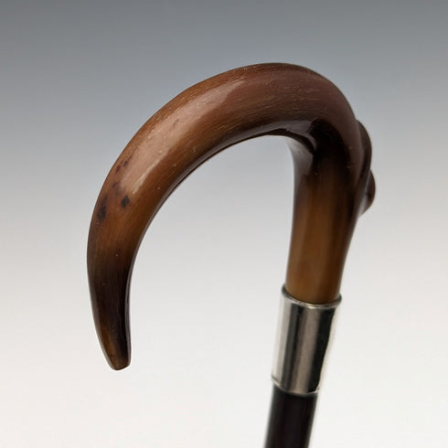 1911 British Antique Ladies Cane Horn Handle Sterling Silver Decoration 92cm