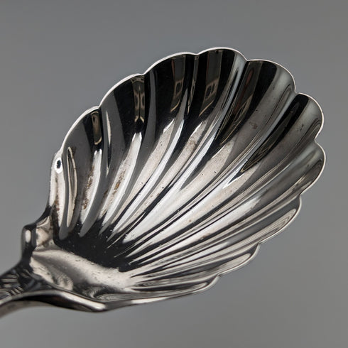 1899 British Antique Sterling Silver Tea Caddy Spoon George Jackson and David Fullerton