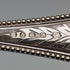 Circa 1870 British Antique Silver Plated Cleaning Set in Case