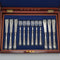 1871 British antique all-sterling silver fish cutlery set, 6 pairs, total weight 607g, Martin and Hall, wooden box