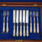 1870 British antique carved mother-of-pearl handle fruit cutlery set of 5 pairs in wooden box by MARTIN HALL