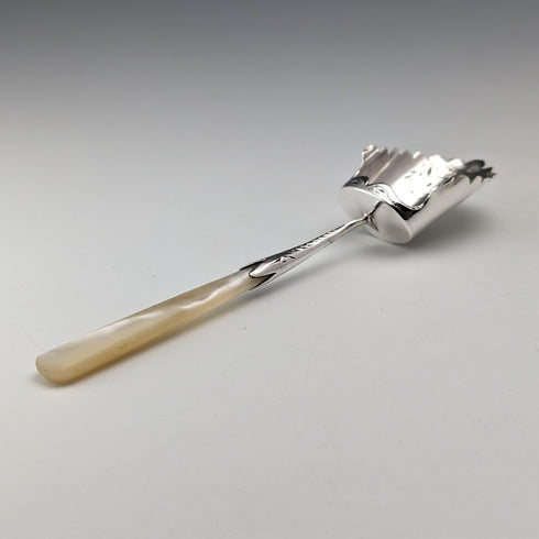 1911 British antique white mother-of-pearl handle sterling silver tea caddy spoon William Henry Leather