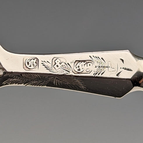 19世紀後半 英国アンティーク 白蝶貝ハンドル フルーツカトラリー6ペアセット トレー入り