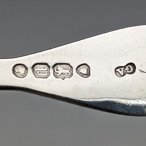 1850年 英国アンティーク 純銀製 ティーキャディースプーン Chawner&Co