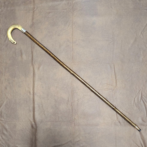 1899年 英国アンティーク 紳士用 純銀装飾 ホーンハンドル ステッキ 杖 101cm