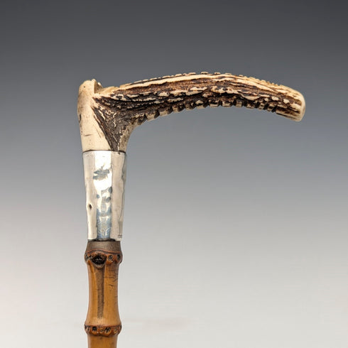 1886 年英國古董鹿角馬鞭,50 厘米