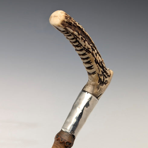 1886 年英國古董鹿角馬鞭,50 厘米