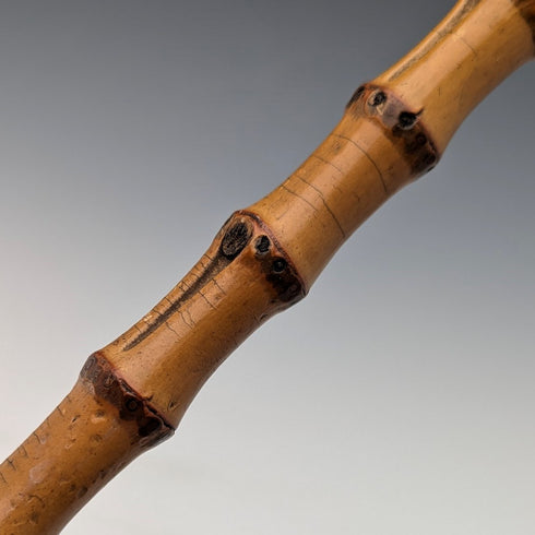 1886 年英國古董鹿角馬鞭,50 厘米