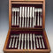 1894 British antique pure silver fruit cutlery set, 12 pairs, 783g total, RF Mosley, in wooden box