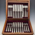 1894 British antique pure silver fruit cutlery set, 12 pairs, 783g total, RF Mosley, in wooden box