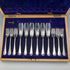 Circa 1900 British antique silver plate fish cutlery set of 6 in wooden box