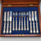 1853 British antique pure silver dessert cutlery, 6 pairs, total weight 537g, Francis Higgins II, wooden box