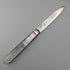 1846 British antique penknife with white mother-of-pearl handle and pure silver engraved blade by Aaron Hadfield