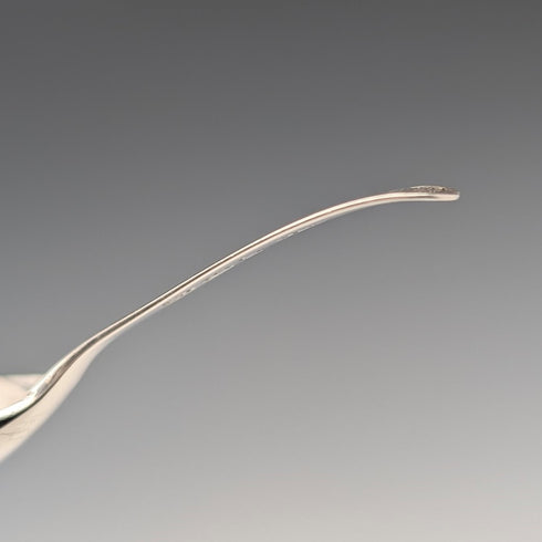 1807 British antique sterling silver tea caddy spoon by George Wintle