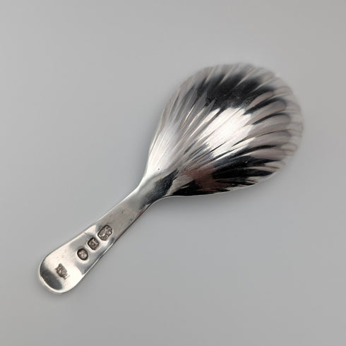 1800 British antique Georgian sterling silver tea caddy spoon