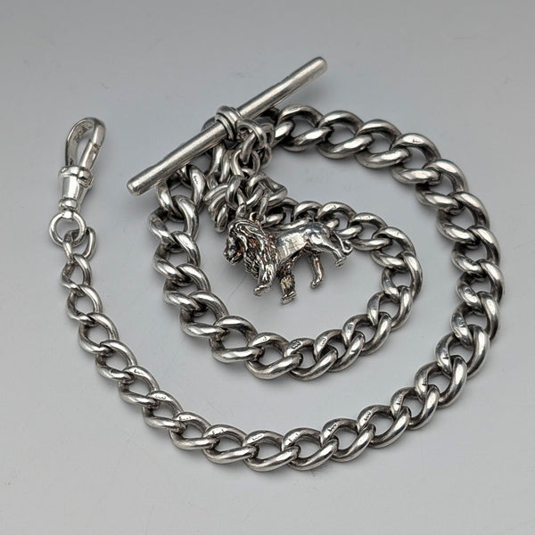 Circa 1900 British antique sterling silver Albert chain, 41g, sterling silver lion passant fob