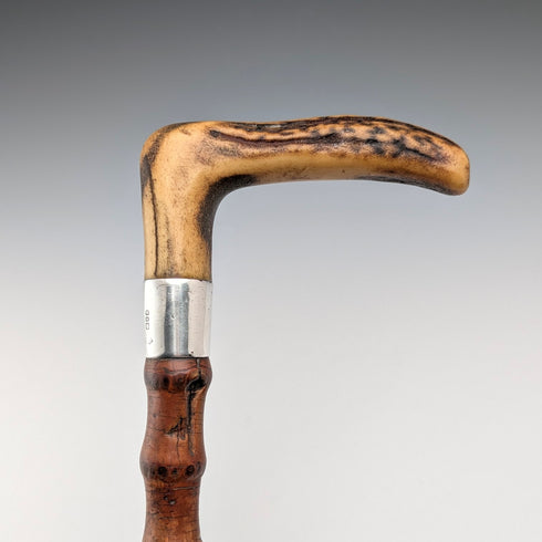 1901 年英國古董竹軸 L 形鹿角手柄純銀裝飾手杖 手杖 81 厘米