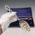 Late 19th Century British Antique Silver Plate Berry Spoons Pair in Case