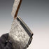 1895年 英国アンティーク 純銀製 カードケース 48g Colen Hewer Cheshire