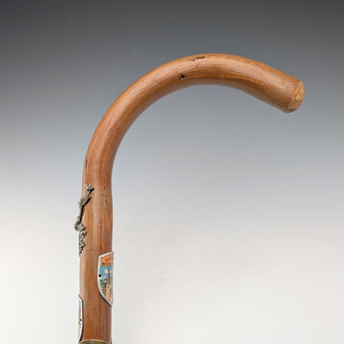 ヴィンテージ ヨーロッパ周遊 ツーリストステッキ タンシャフト 95cm