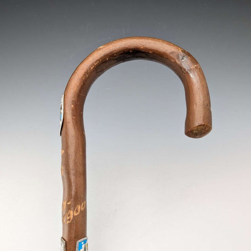 Vintage European Tour Bent Handle Tourist Walking Stick Brown Shaft 92cm